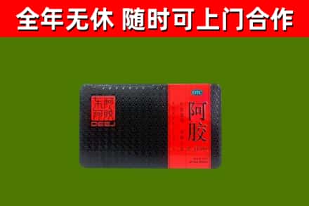 福贡回收阿胶